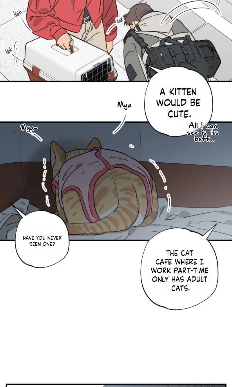 Chapter 29, page 54