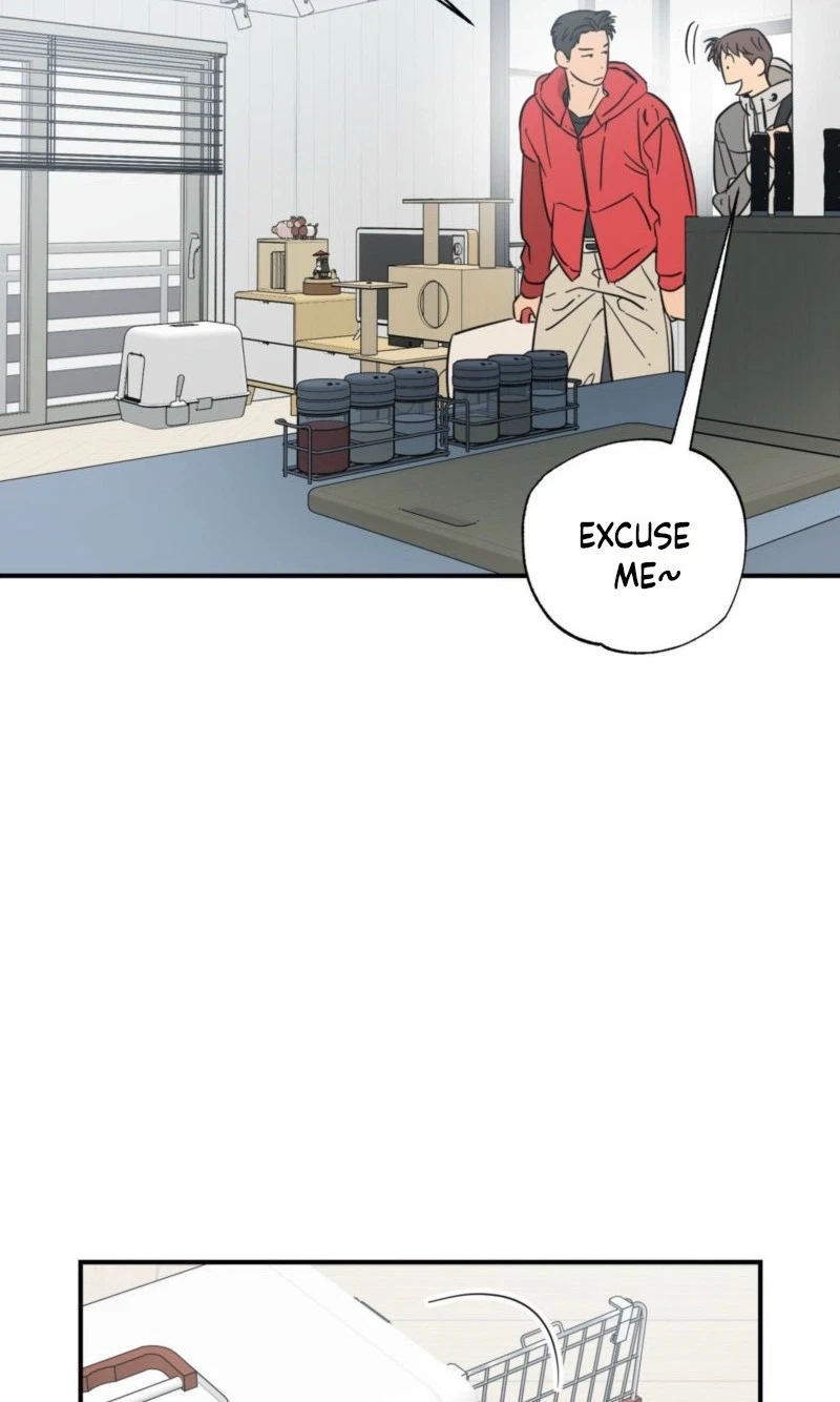 Chapter 29, page 61