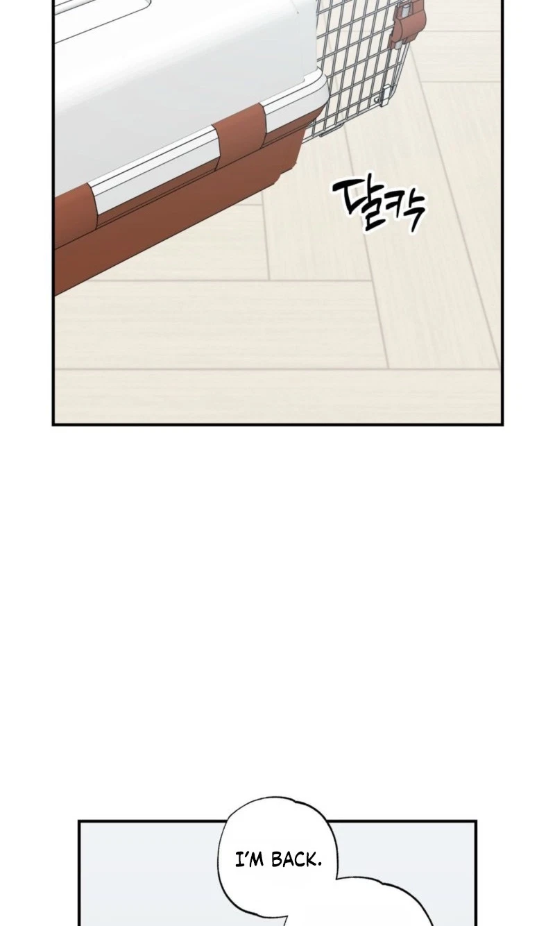 Chapter 29, page 62