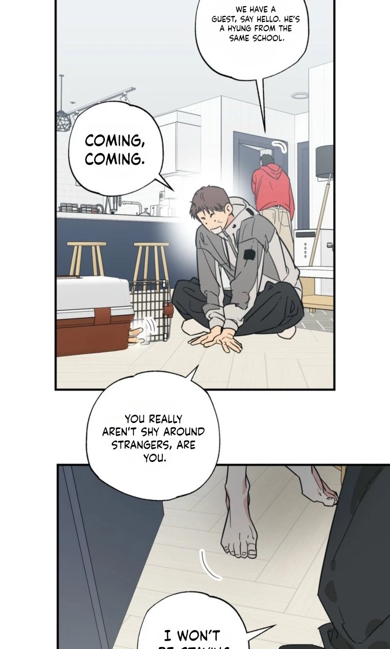 Chapter 29, page 63