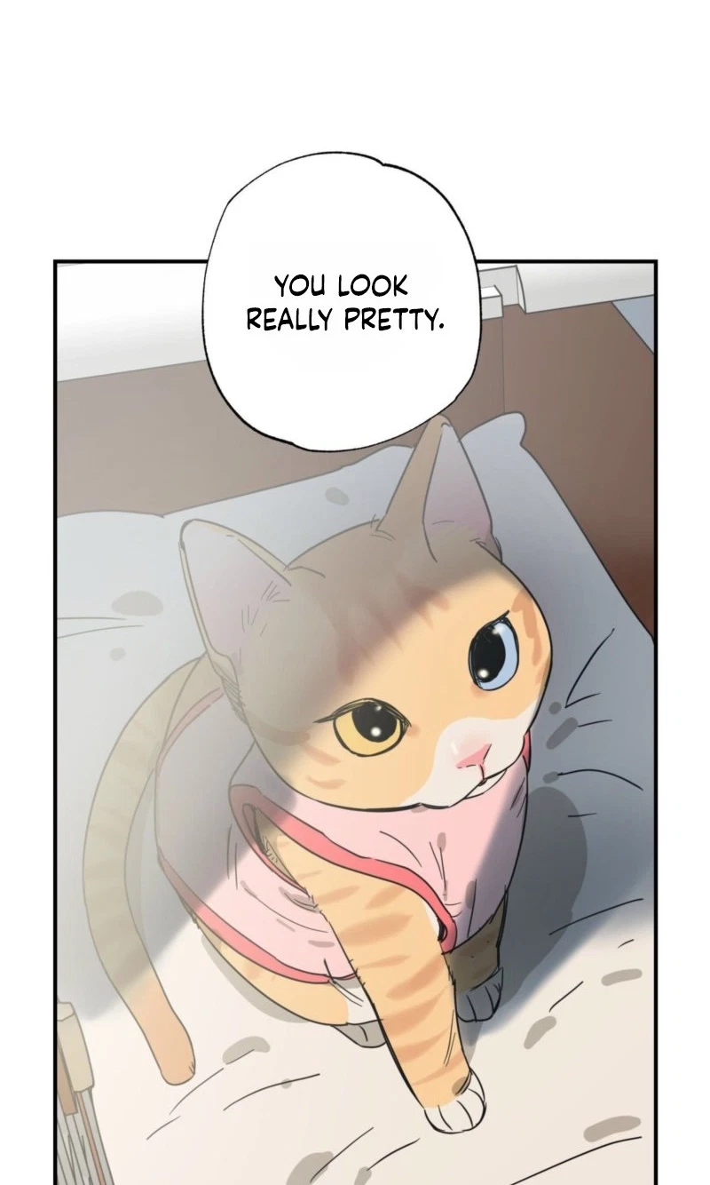 Chapter 29, page 65