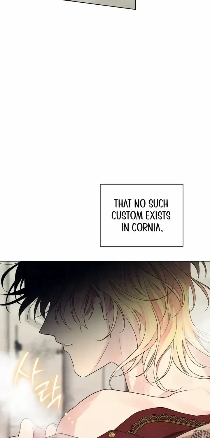Chapter 1.1, page 28