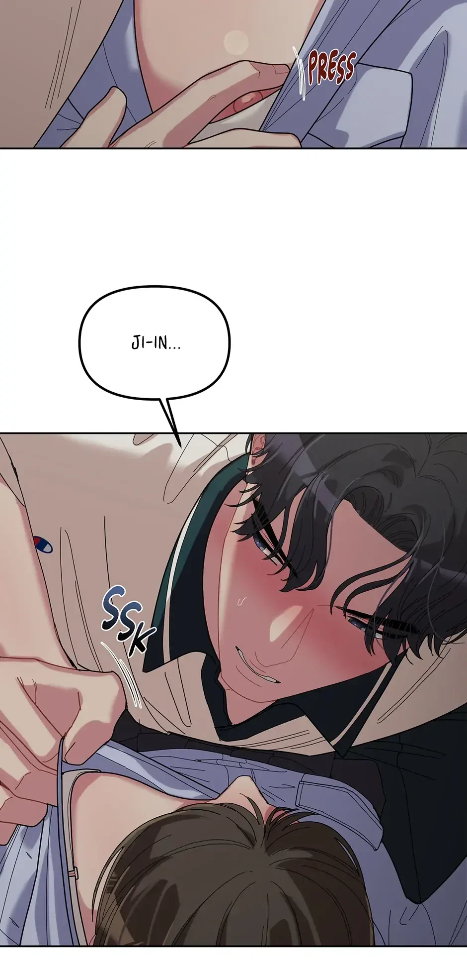 Chapter 43.43, page 19