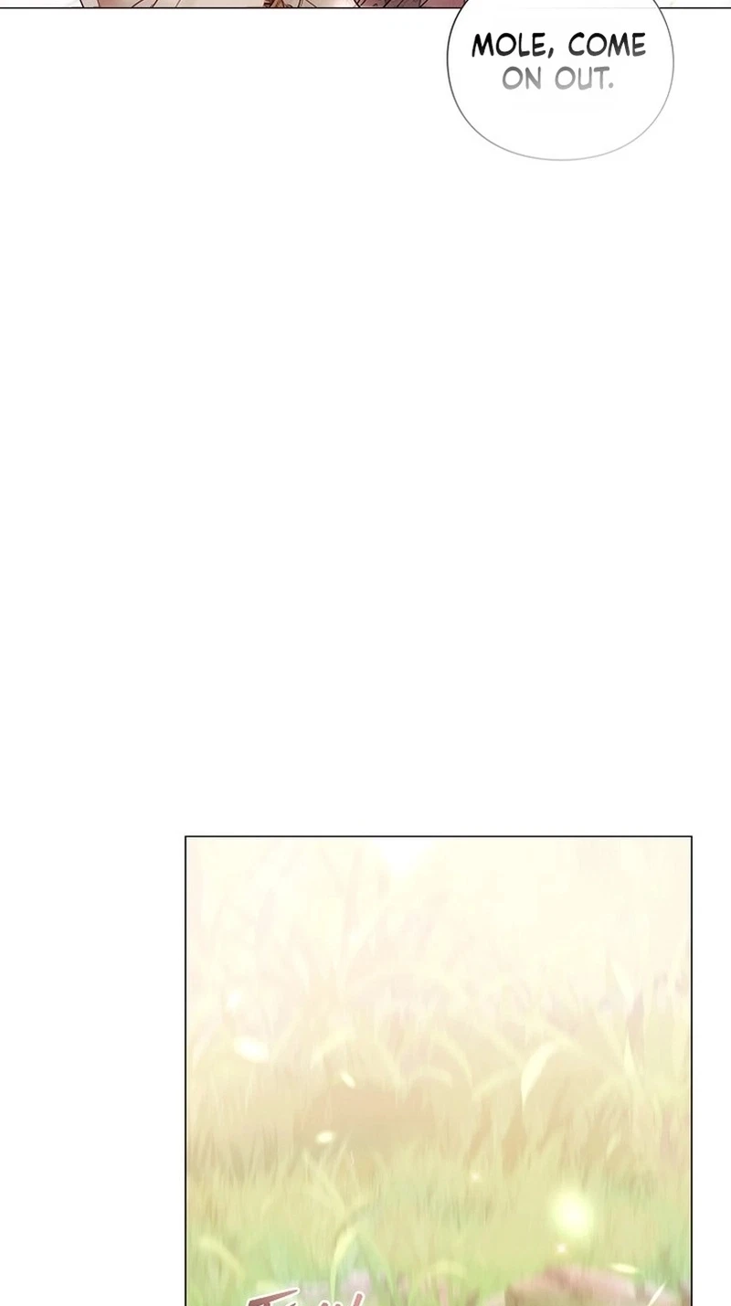 Chapter 6, page 42