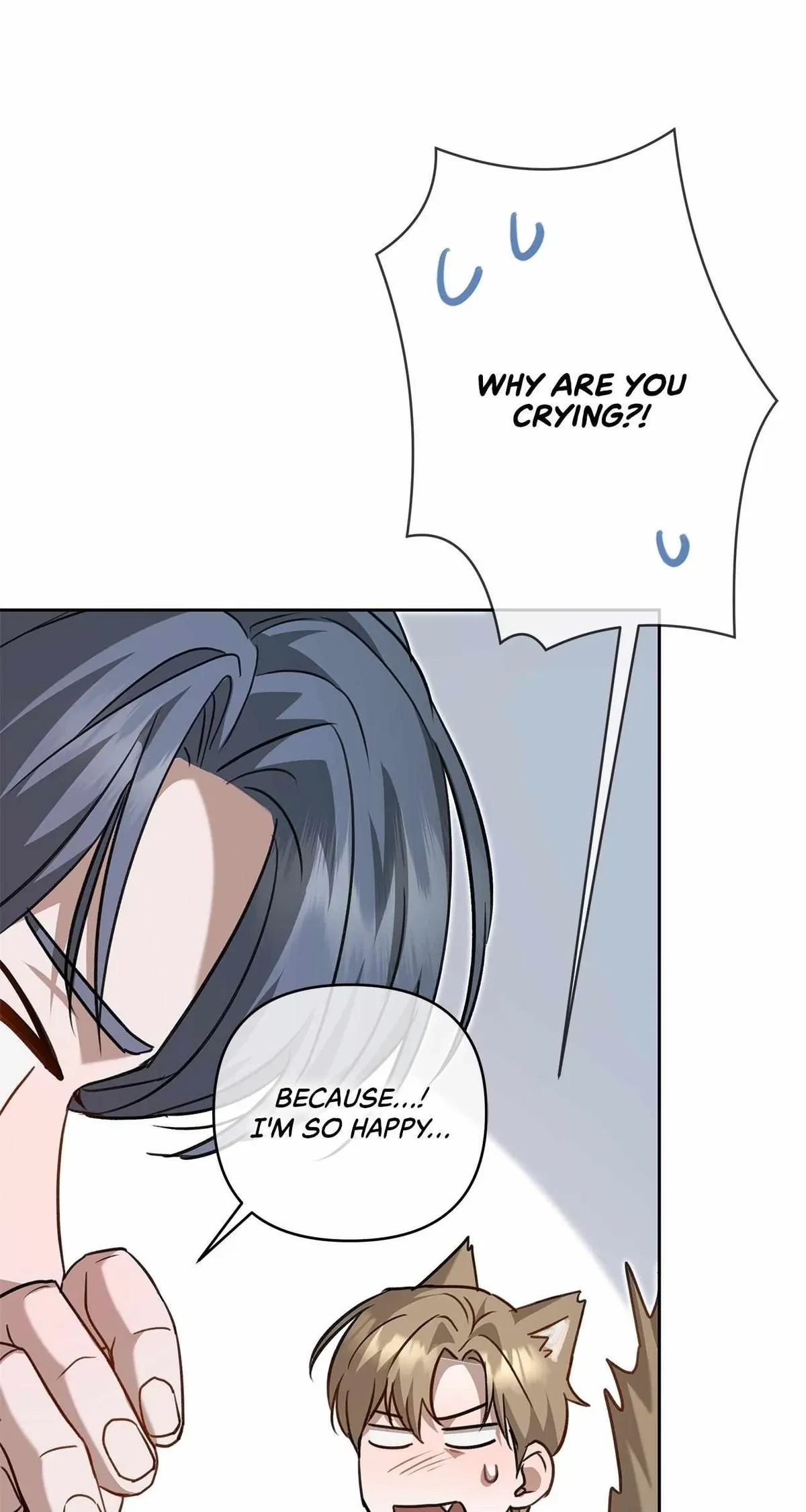 Chapter 4, page 102
