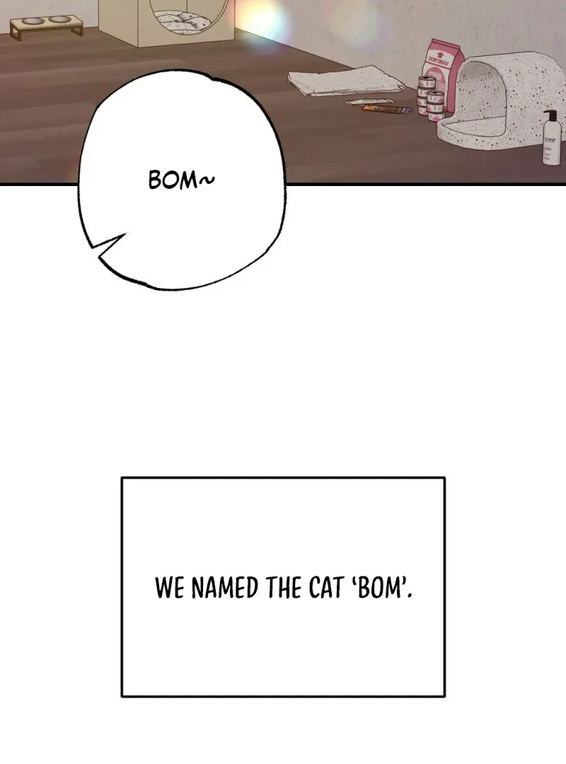 Chapter 5, page 46