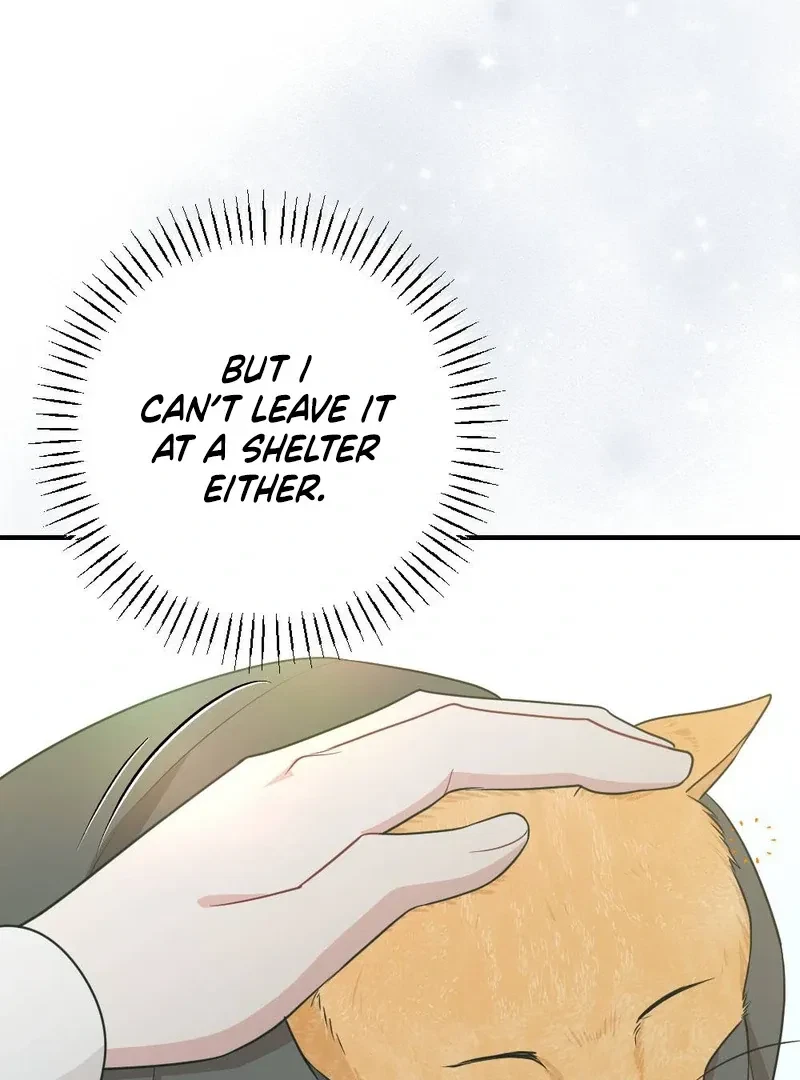 Chapter 5, page 8