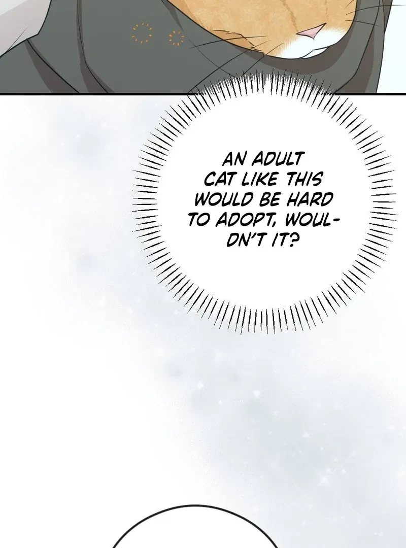 Chapter 5, page 9