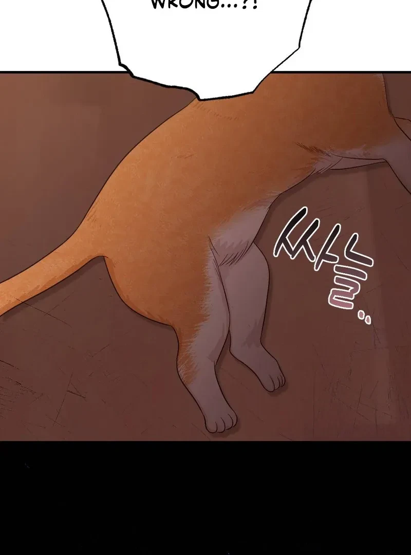 Chapter 5, page 95
