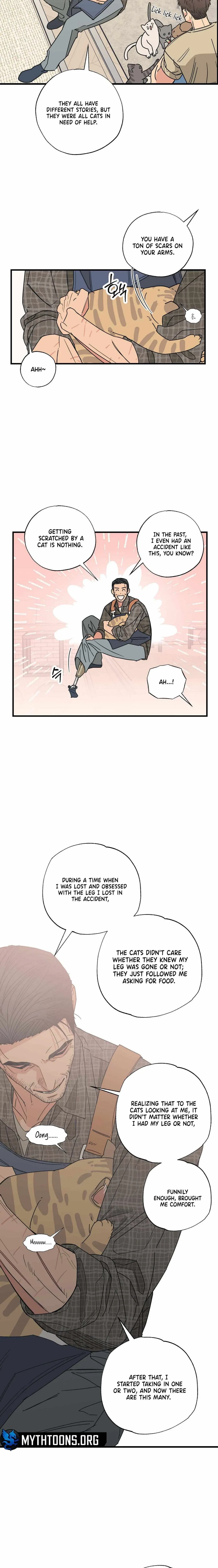 Chapter 3, page 11