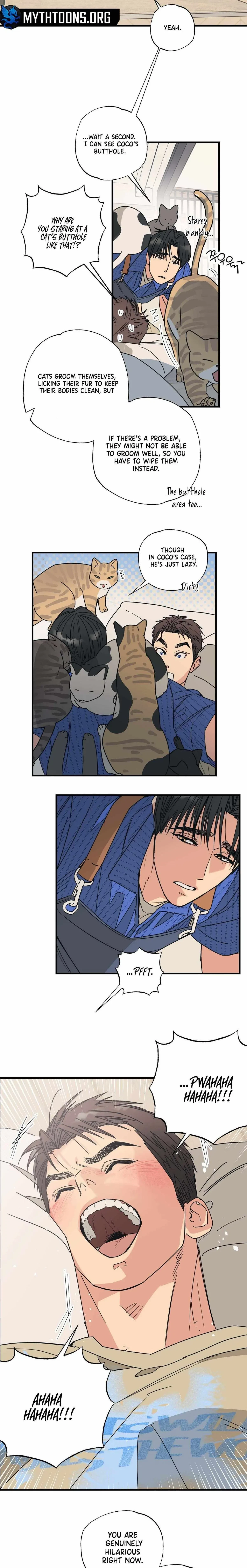 Chapter 3, page 16