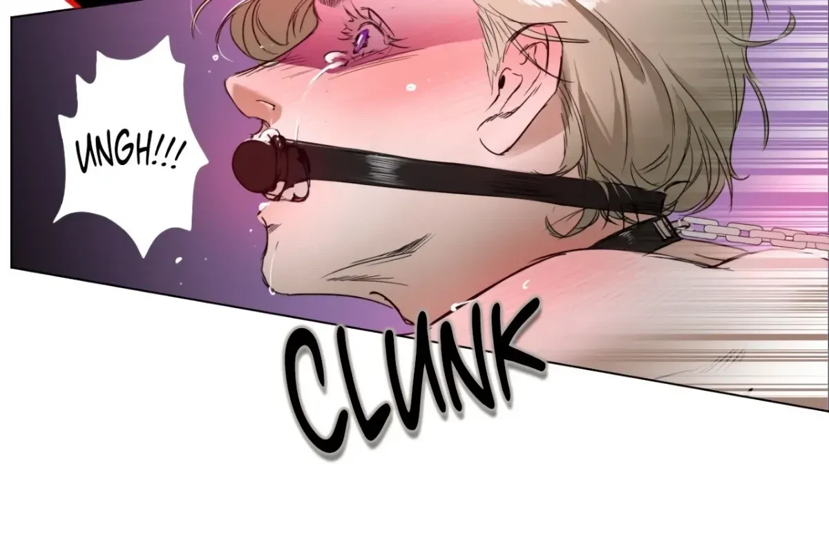 Chapter 1, page 17