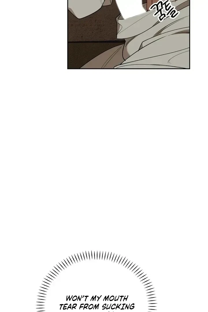 Chapter 1.1, page 19