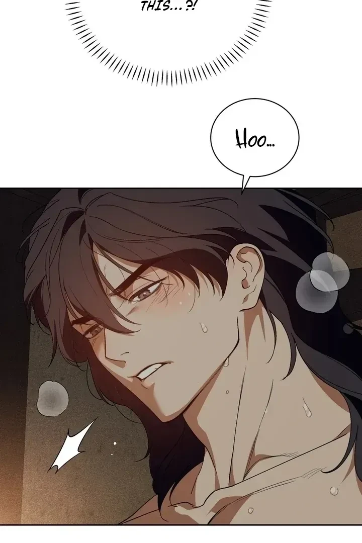 Chapter 1.1, page 20