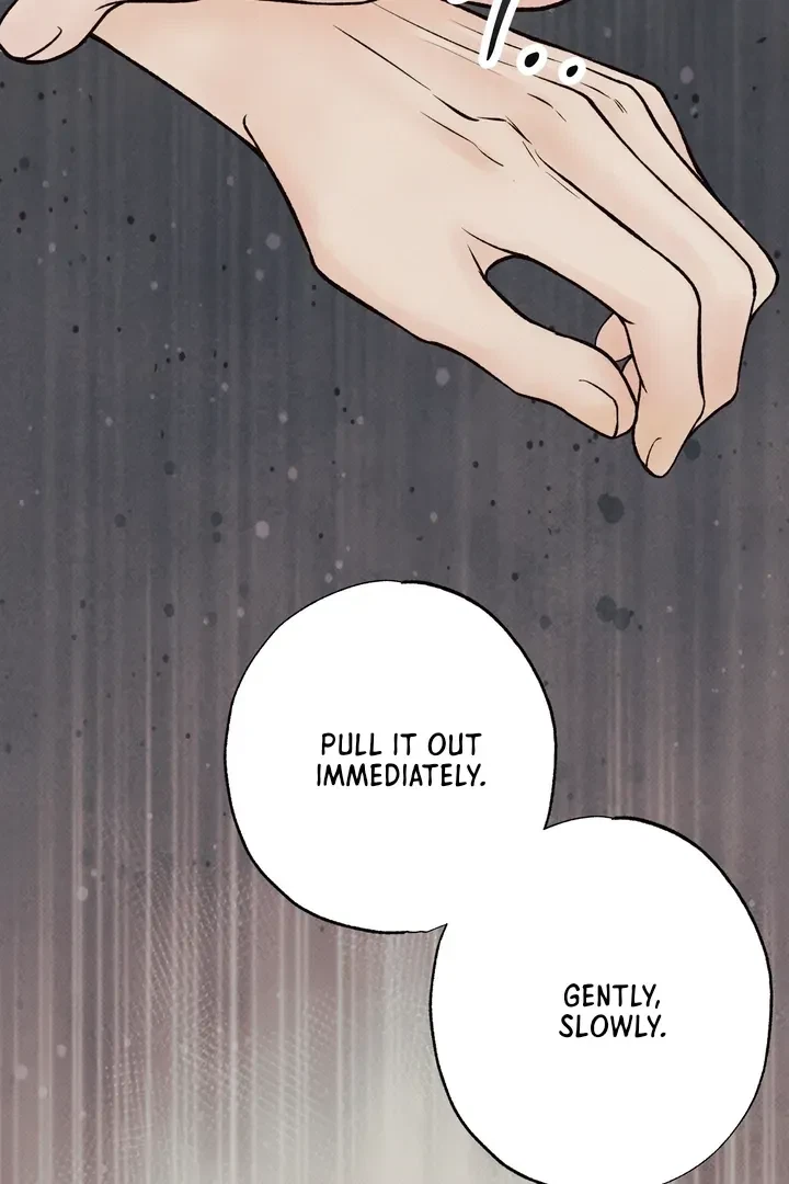 Chapter 4, page 15