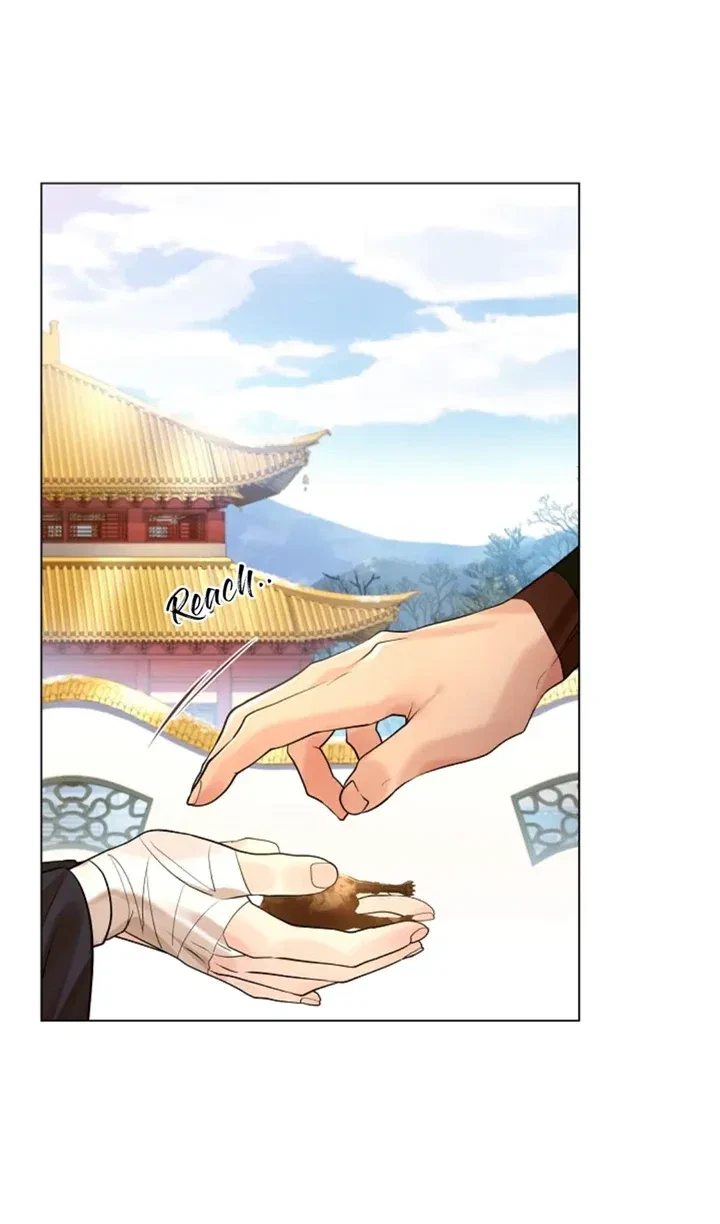 Chapter 63, page 34