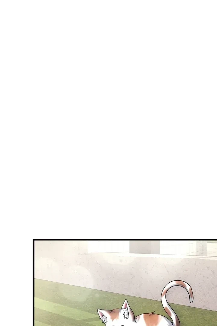 Chapter 2, page 42