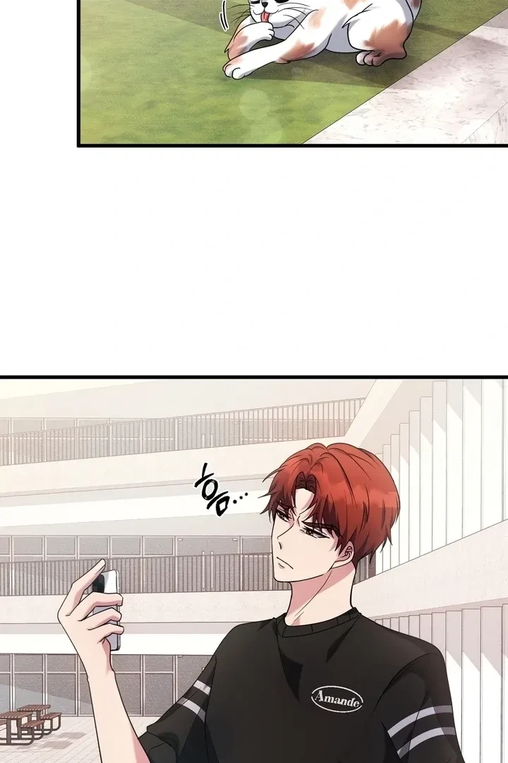 Chapter 2, page 43