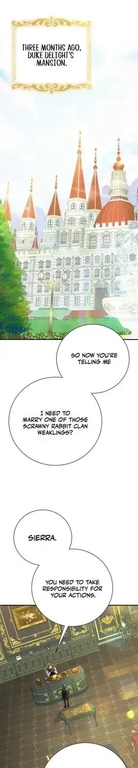 Chapter 1.2, page 29