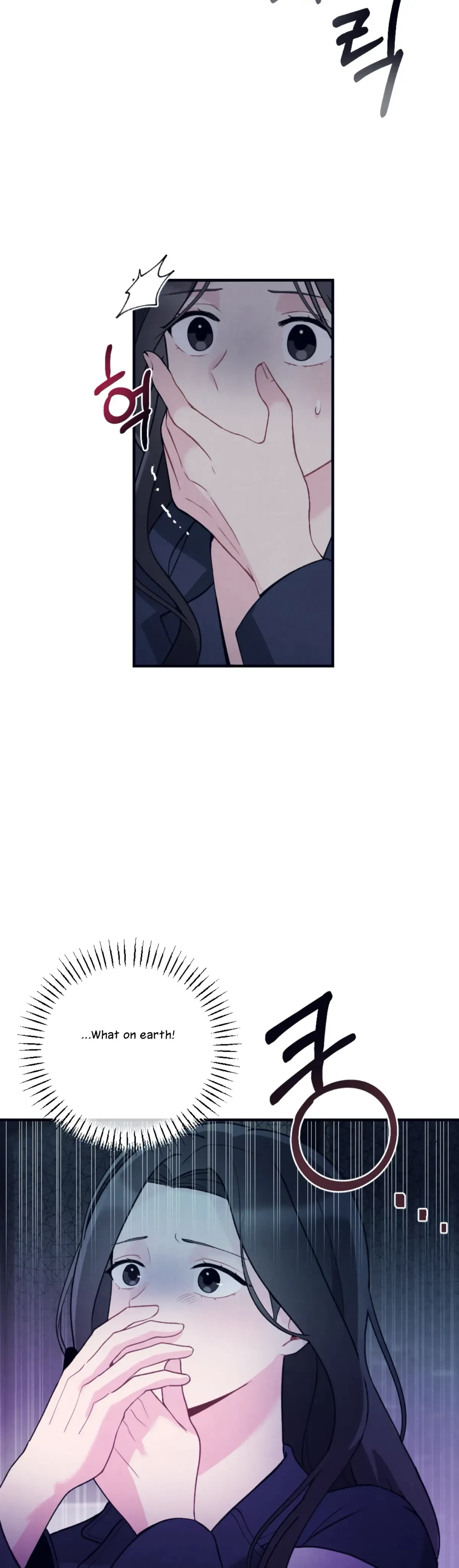 Chapter 1, page 27