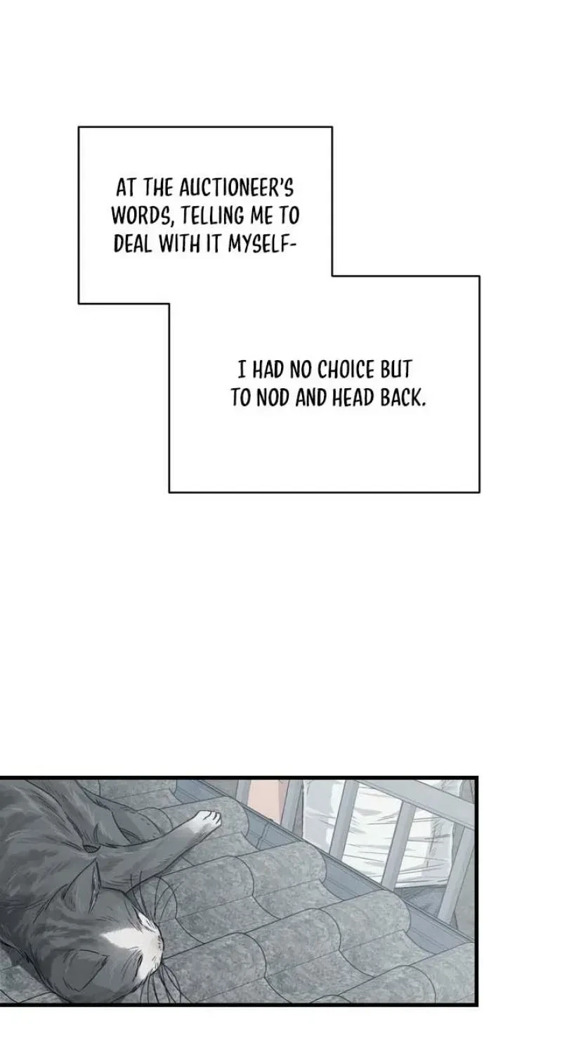 Chapter 2, page 47