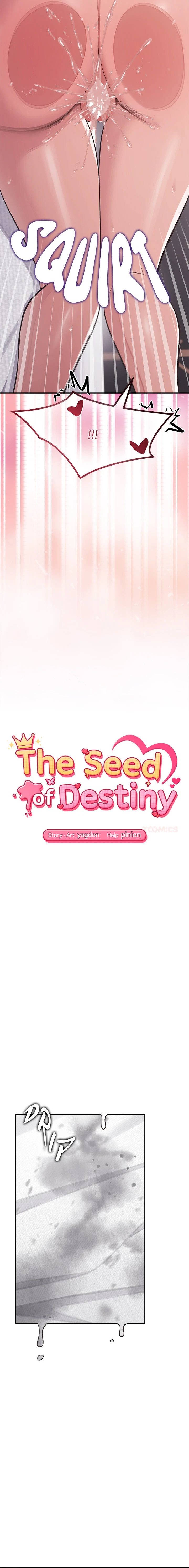 The Seed Of Destiny Chapter 16, page 3