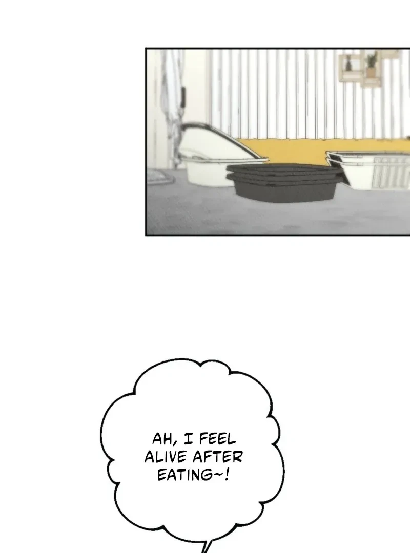 Chapter 3, page 19