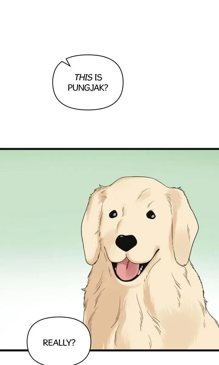 Chapter 51, page 27