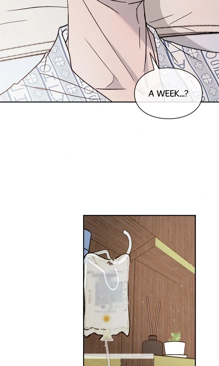 Chapter 66.02, page 42