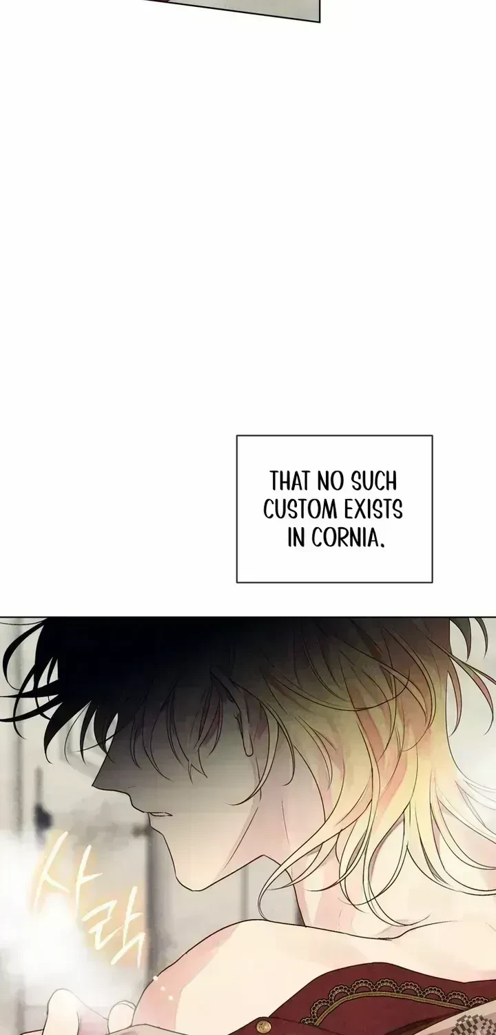 Chapter 1.6, page 28