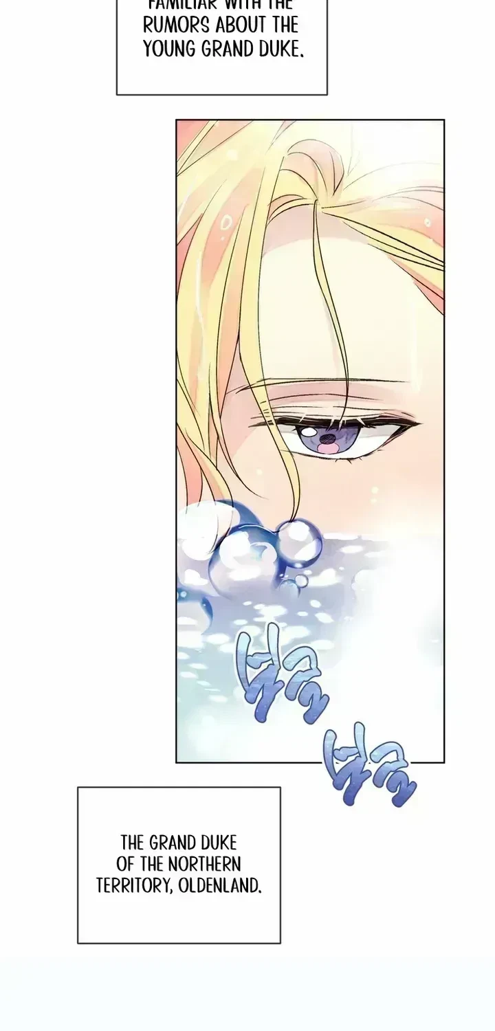 Chapter 1.6, page 49