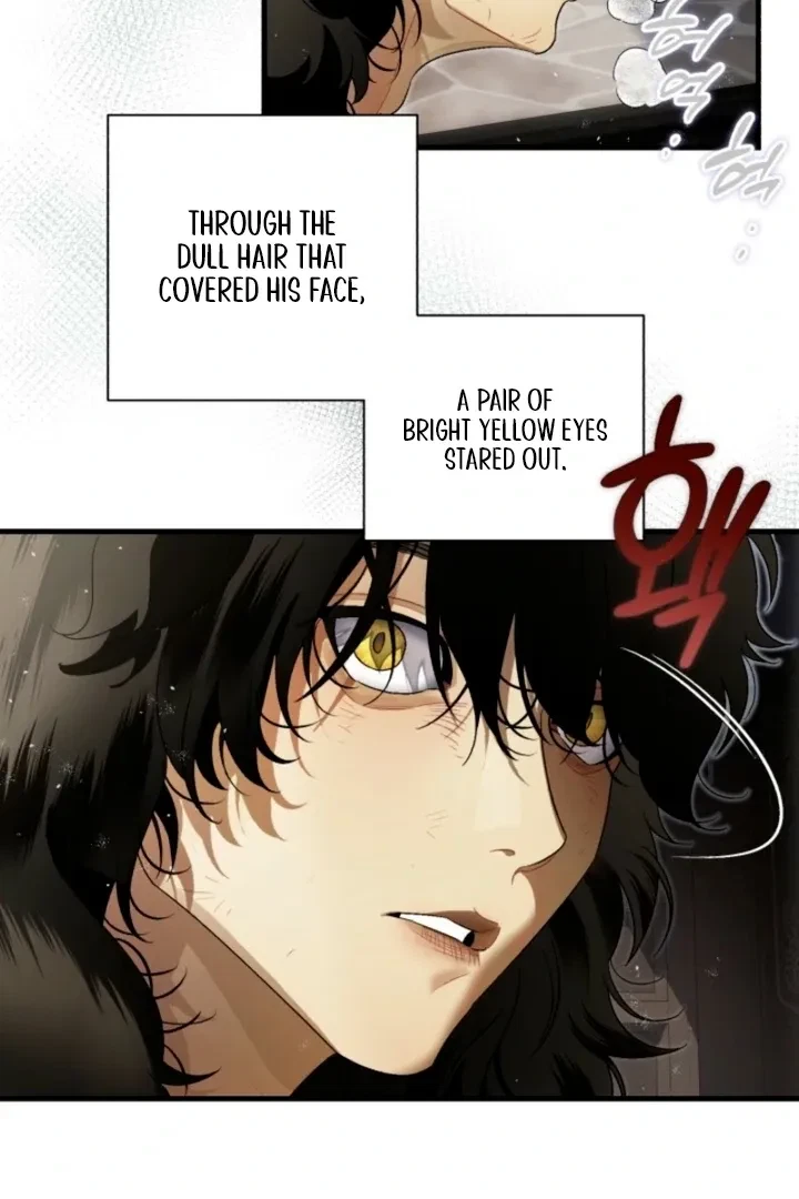 Chapter 1, page 15