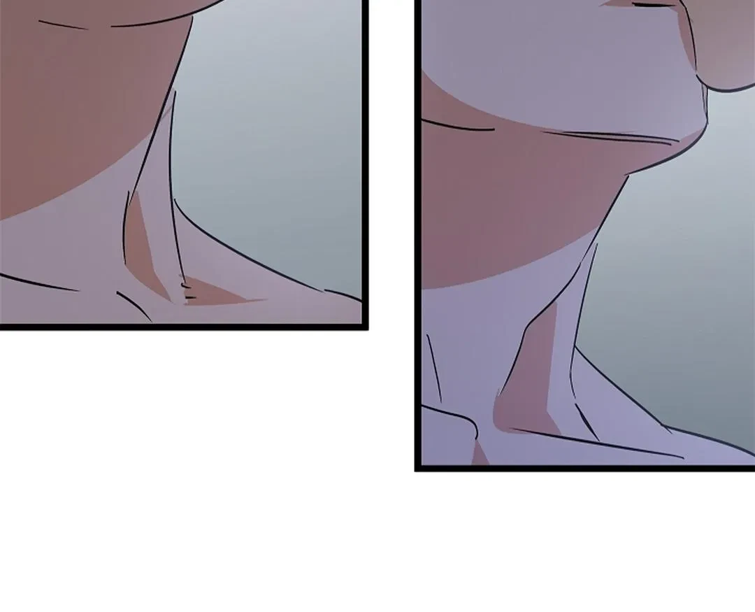 Chapter 3, page 101