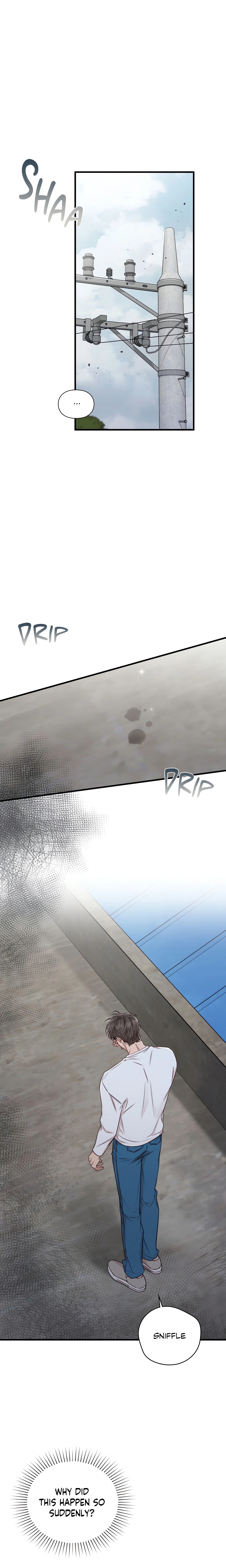 Chapter 48, page 17