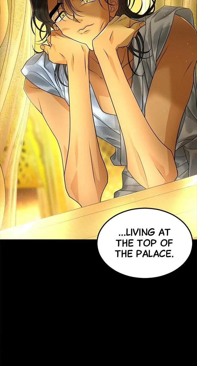 Chapter 81, page 4