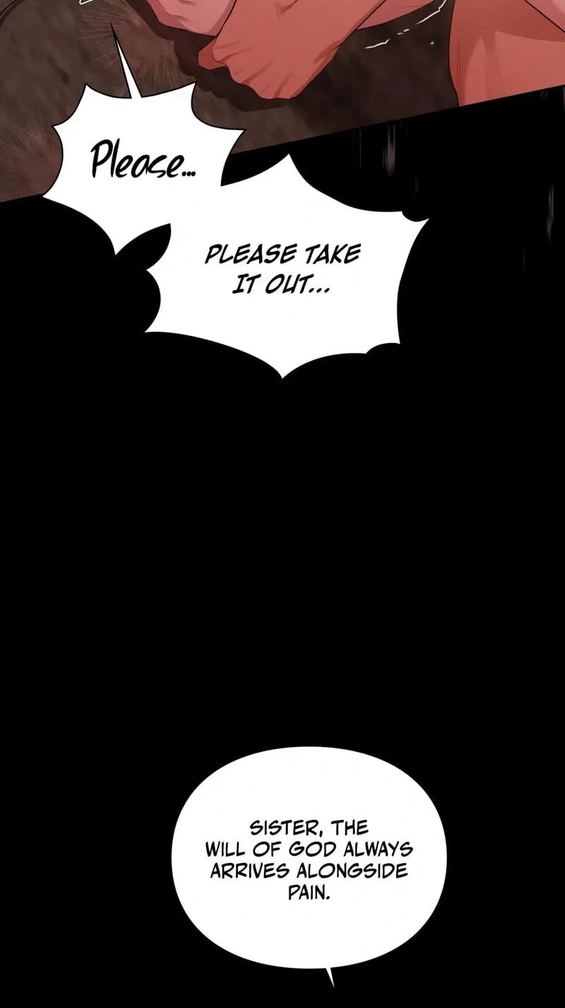 Chapter 2, page 97