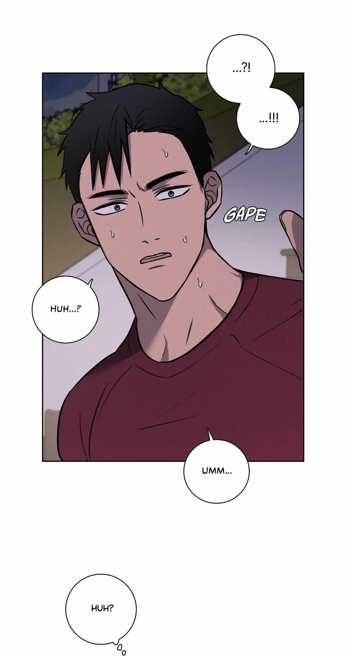 Chapter 20.6, page 46