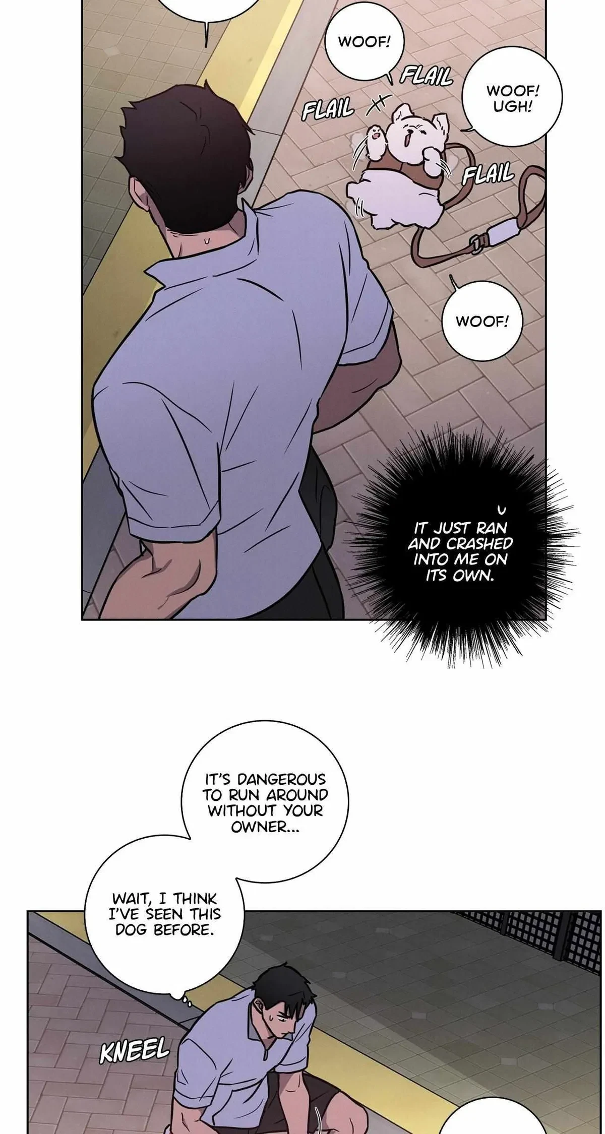 Chapter 20.6, page 6