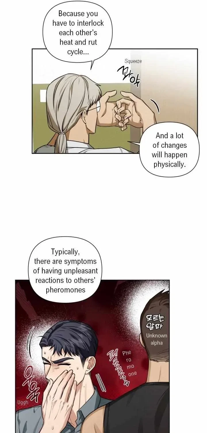 Chapter 2.2, page 14