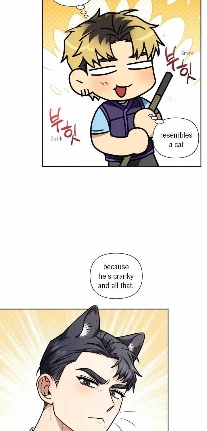 Chapter 2.2, page 36