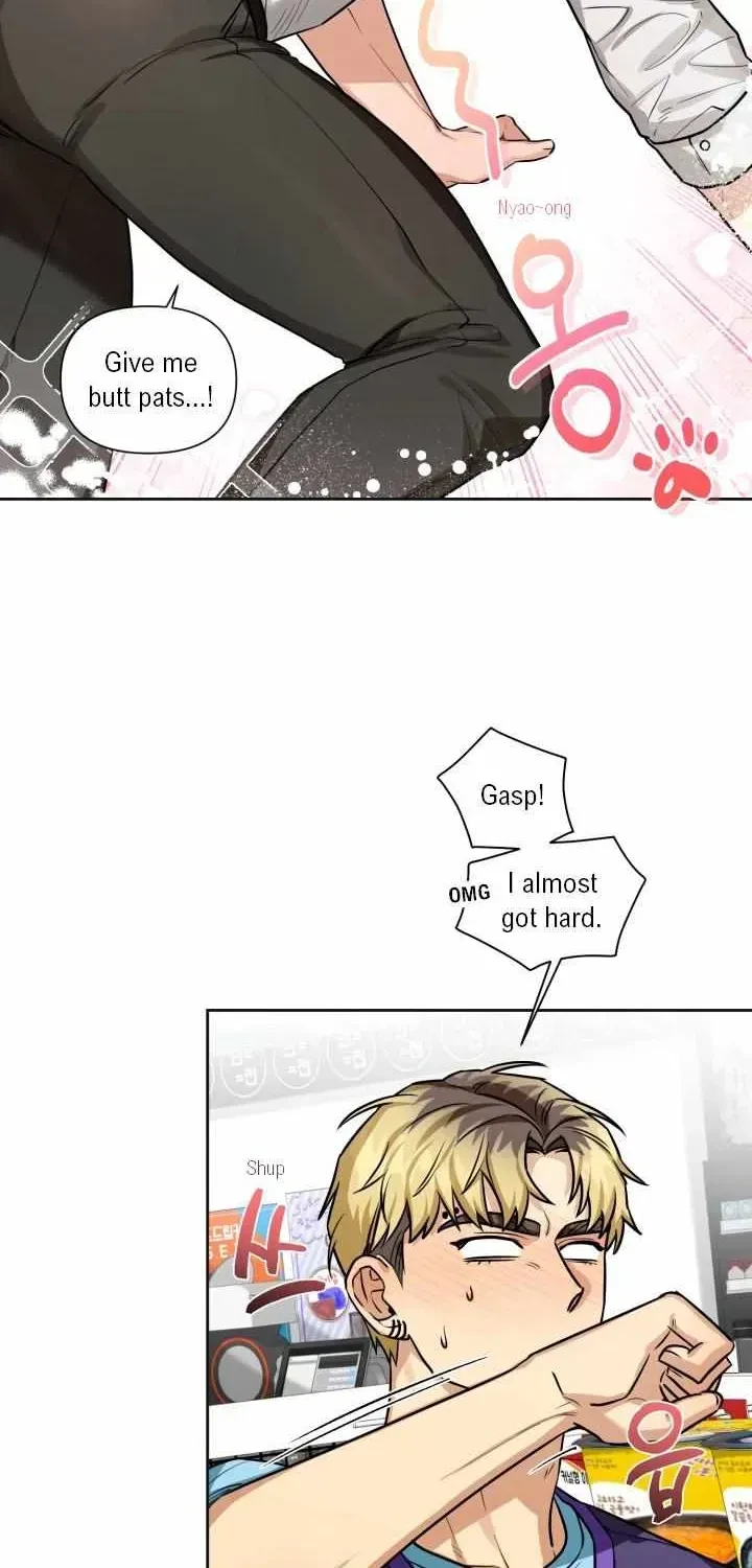 Chapter 2.2, page 38