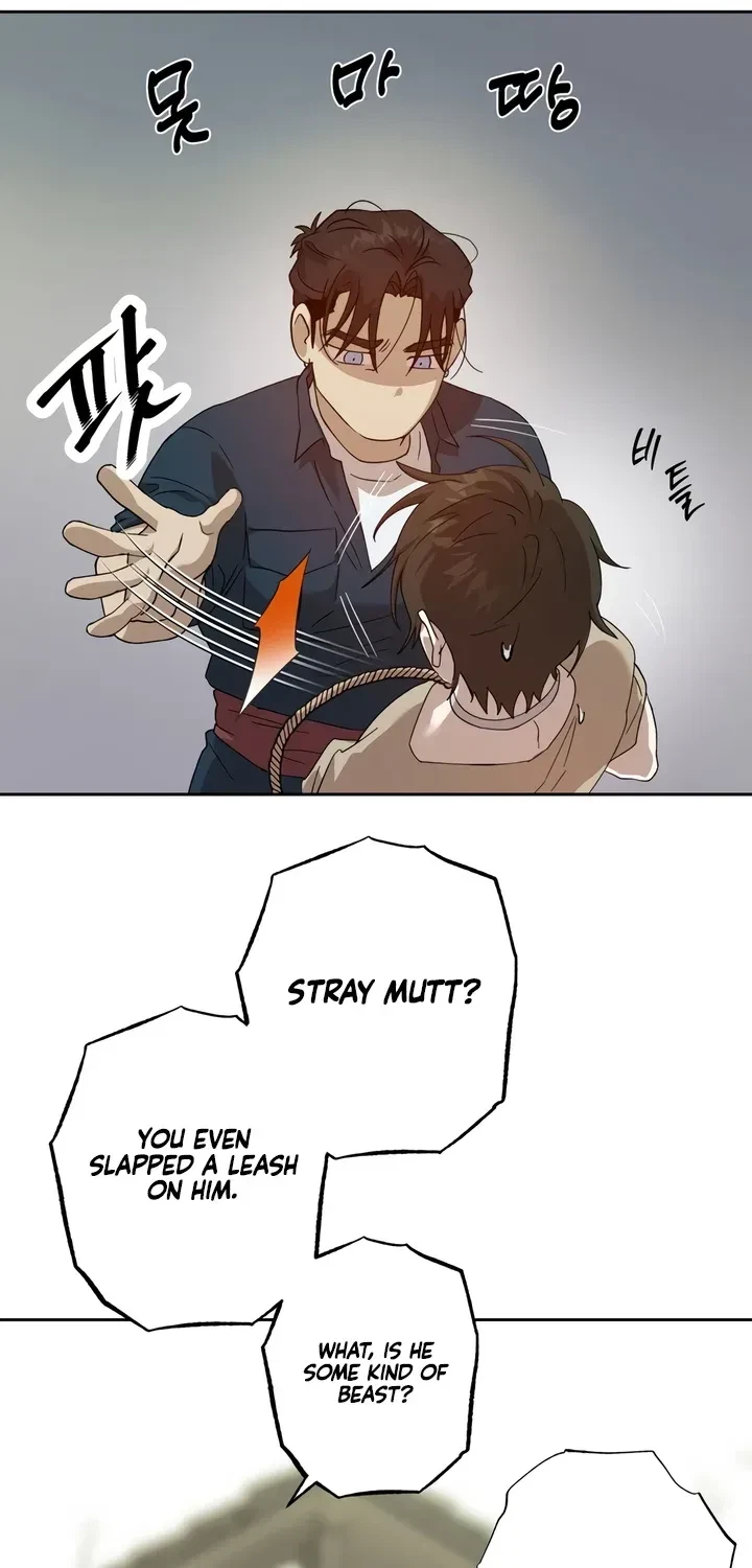 Chapter 2, page 19