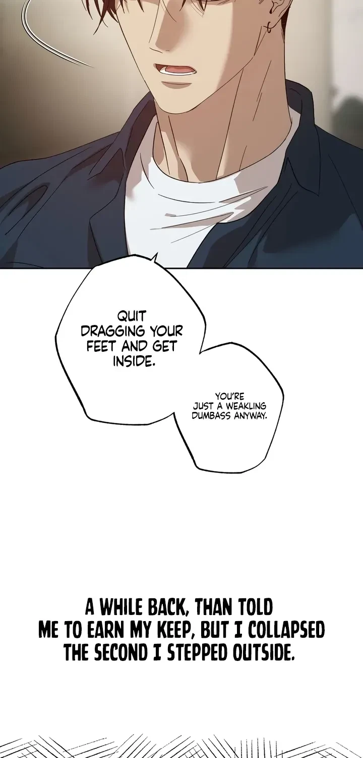 Chapter 2, page 29