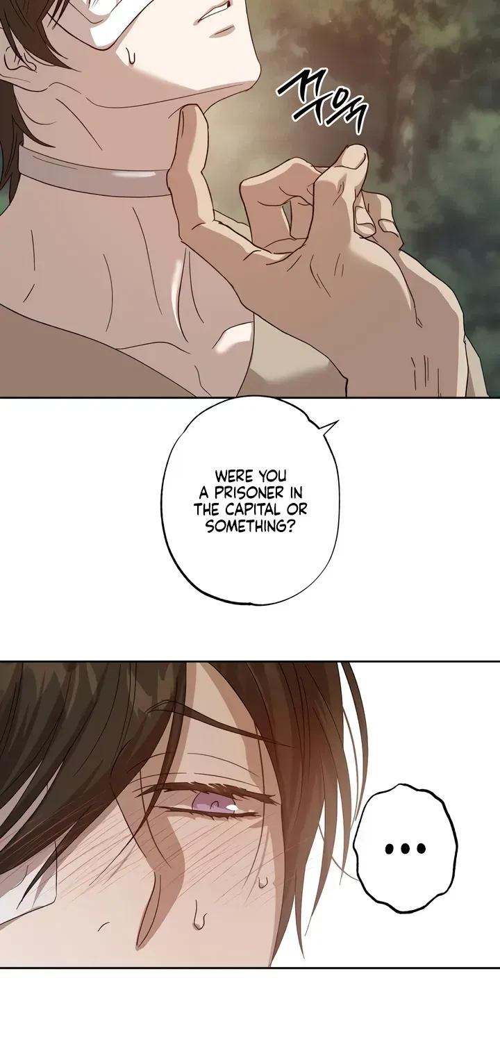Chapter 2, page 56