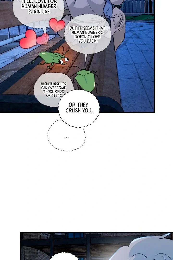 Chapter 3, page 61