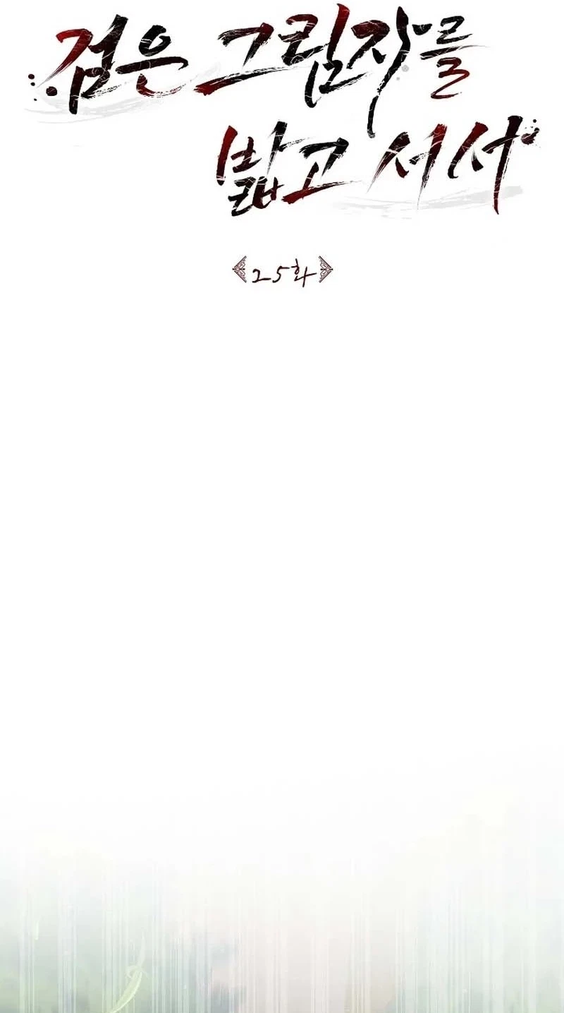 Chapter 25, page 74