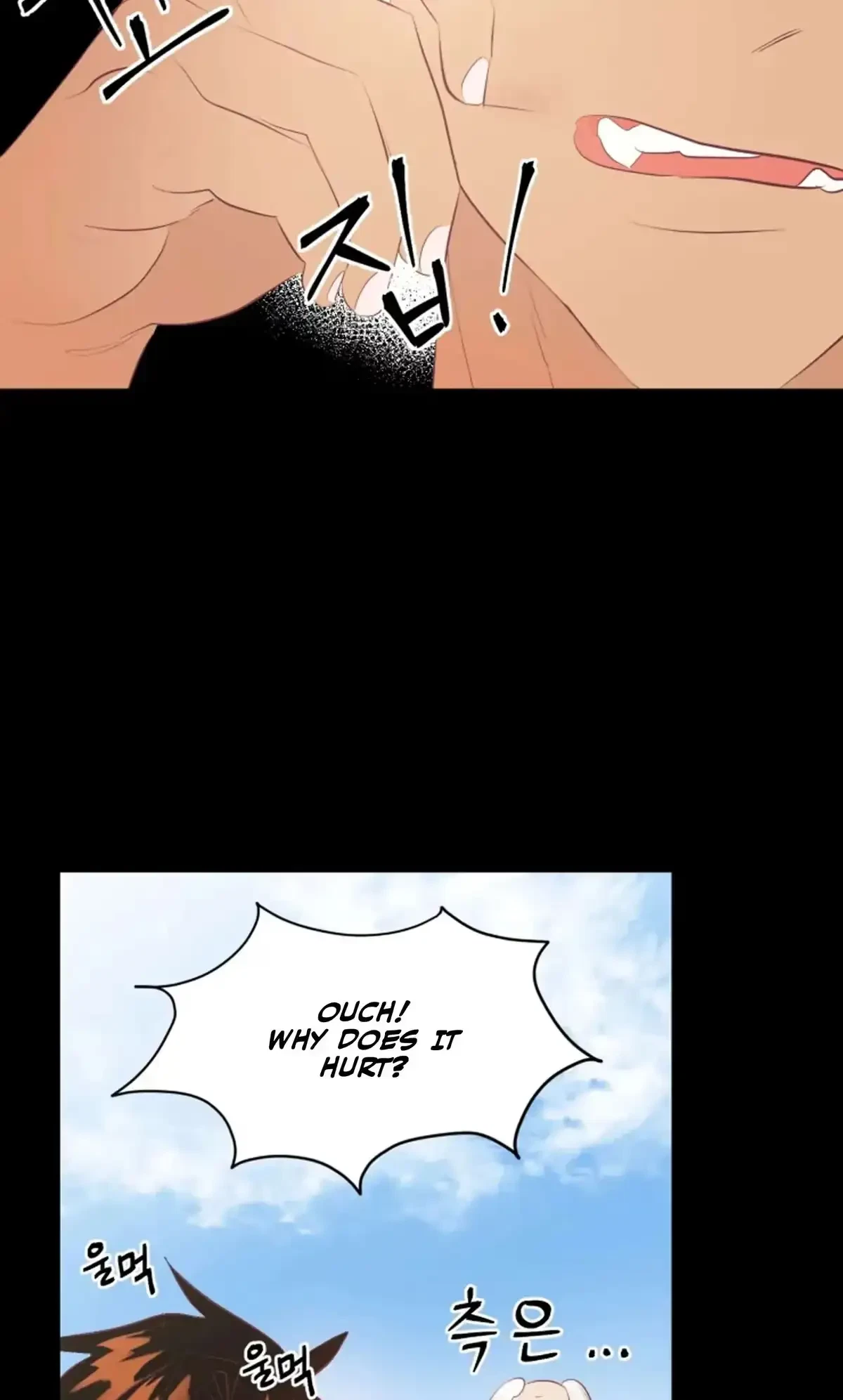 Chapter 2, page 17