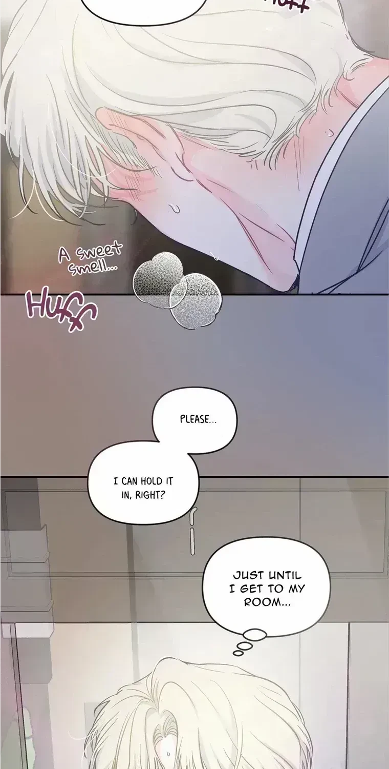 Chapter 3.6, page 38