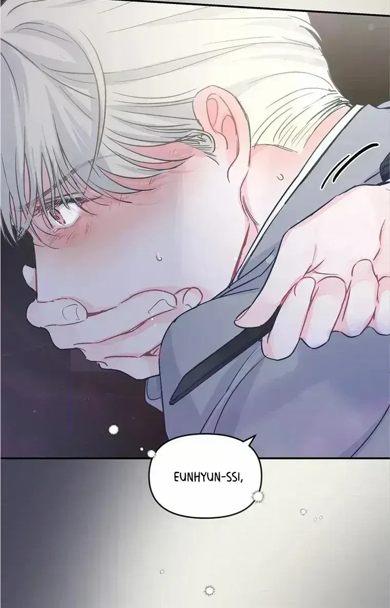 Chapter 3.6, page 51