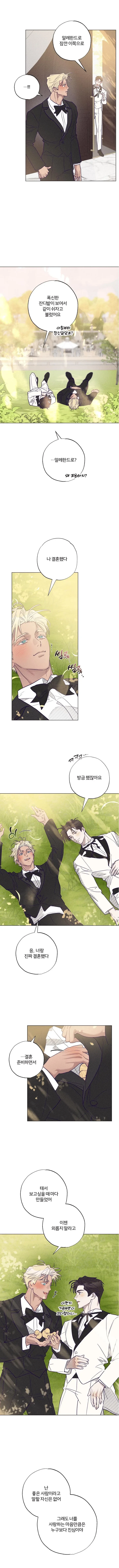 Chapter 71, page 7